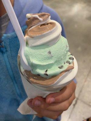 Scoop Froggy Frog Swirl