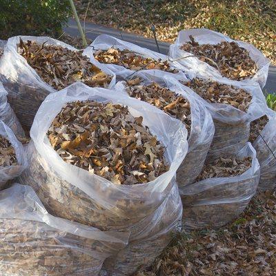 Landscape debris bagged and hauled away.