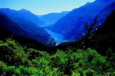 Doubtful Sound, New Zealand