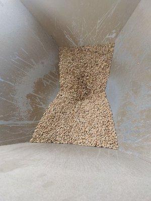 Milling malt at Oakbarrel