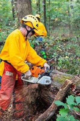 Yellow Ribbon Tree Experts