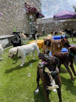 Daycare bubble party!