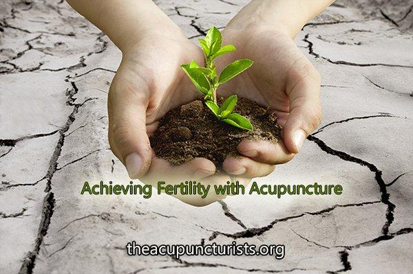 Acupuncture works to improve blood flow to the uterus and ovaries, regulates hormones and increases your chance of conception.