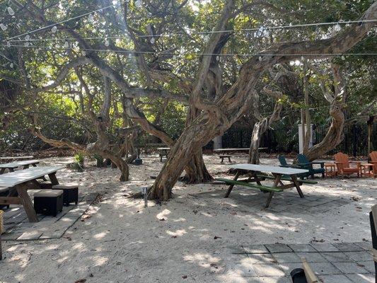 Outside eating area