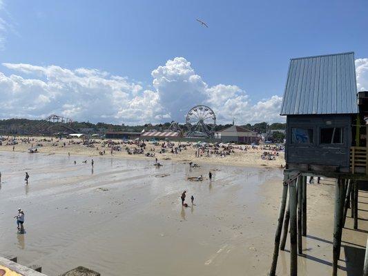 View from the Pier,  don't waste $$ at Pier Pub