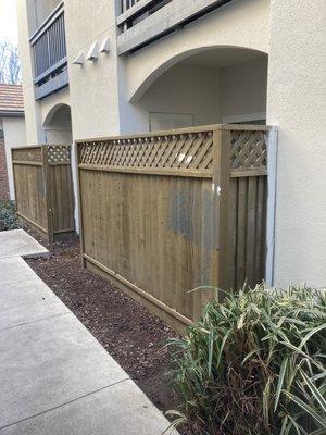 Again, looks like they started and never finished. That fence is supposed to be blue.