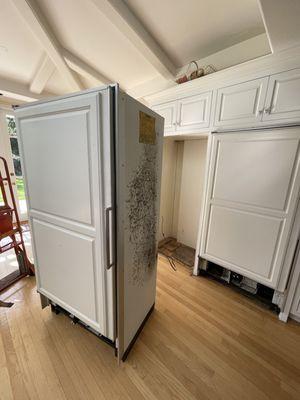 Built-In Refrigerator Removal in Palos Verdes, CA 90274