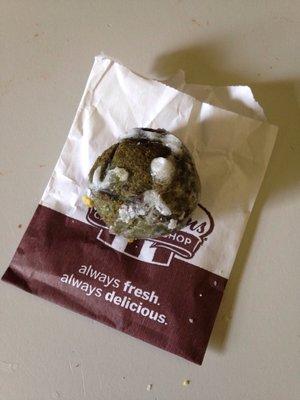 Complimentary timbit in little baggie.