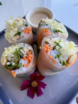 Fresh Spring Roll