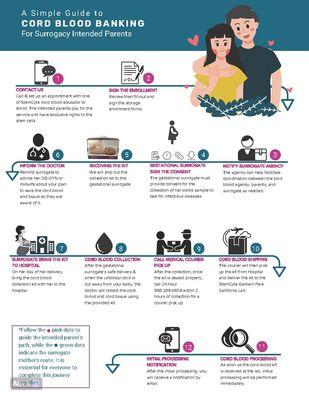 Essential Guide to Cord Blood Banking for Parents Undergoing Surrogacy.