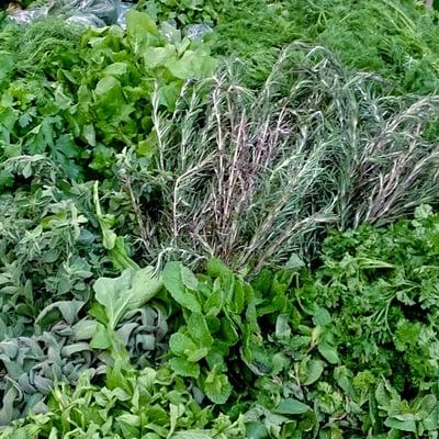 Fresh Herbs Garden at United Brothers Fruit Markets