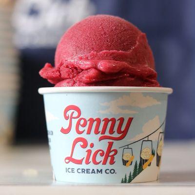 Penny Lick Ice Cream