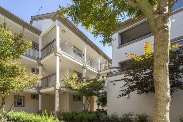 Lush trees and breezeways create a tranquil mood for contemporary living