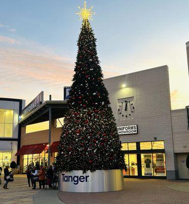 Christmas Tree  Outside of Loft