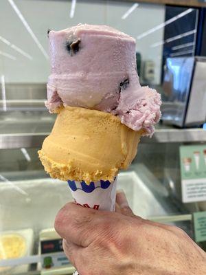 Black Cherry (top) and Pumpkin (bottom) on a Sugar Cone