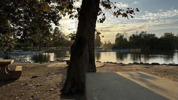 Love this park at sunset