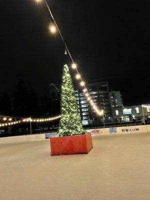 Center of the skating rink.