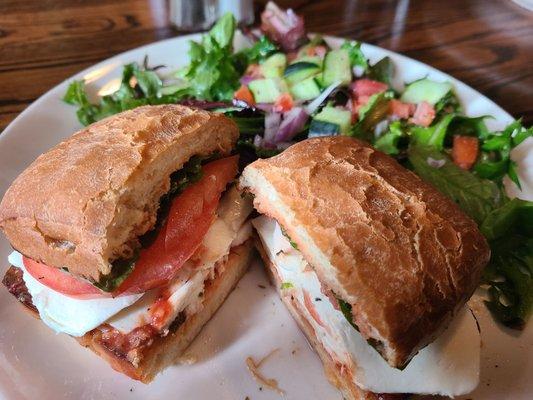 Fresh mozzarella sandwich, with mixed greens