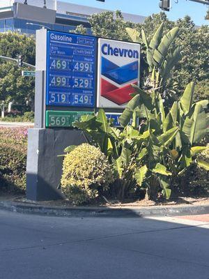 Gas prices