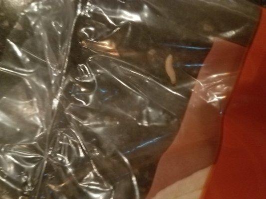 Worm found in sealed package of torillas bought on 8-18-2017