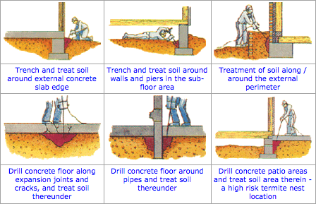 Do you ever wonder what the process for treating for subterranean termite looks like?