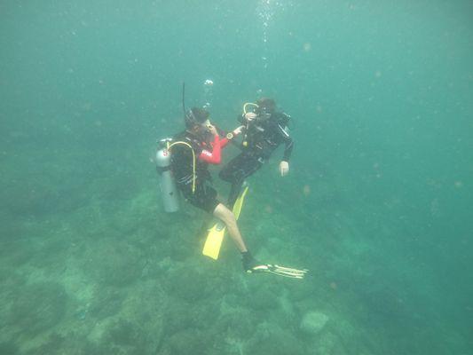 Diving with our 10 year old.