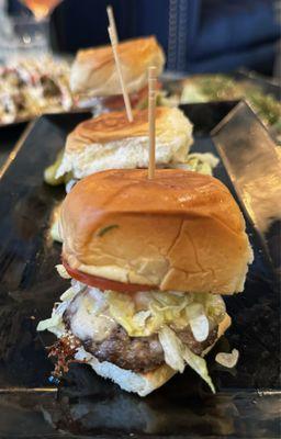 Sliders (HH, $9)