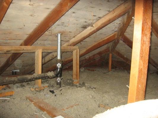 Attic Mold Before Treatment