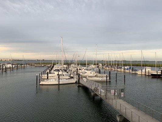 View from Crabby's Dockside on opening day