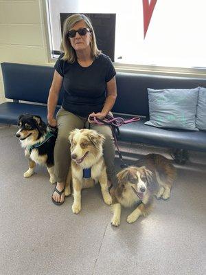 Pups in the waiting room