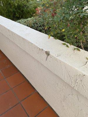 Damaged stucco