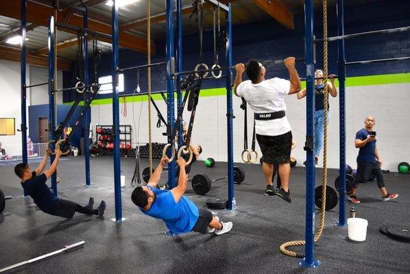 Some pull ups and ring rows, tailored to skill level