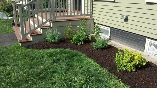 New front garden border for this Cambridge client.