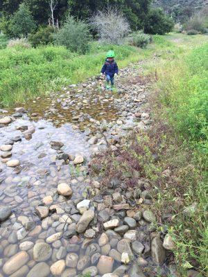 When it rains the "creek" fills with some water.