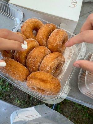 Cider donuts