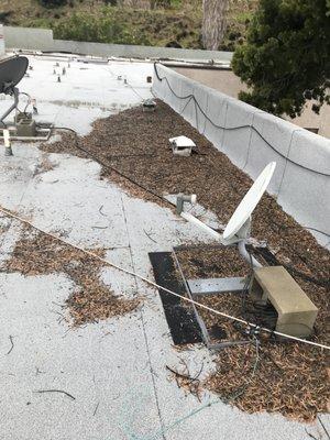 Cleaning all the debris off this roof.  Keep your roof clean of tree debris.