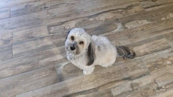 New tile flooring, Chris helped us pick this out...looks awesome...thanks Chris!