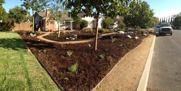 Front Yard Lanscape