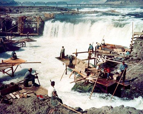 Fish were so plentiful they could be caught scooping with long handled nets at Celilo Falls. Fishing platforms are here today if you look.