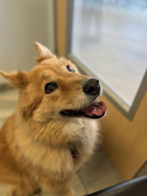 University Veterinary Center