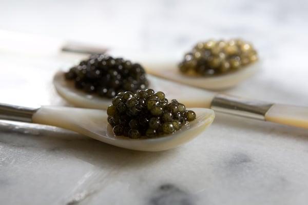 One of our favorite pictures of our three best caviar.