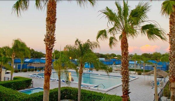 Sarasota Sports Club pool located in the Country Club of Sarasota neighborhood.