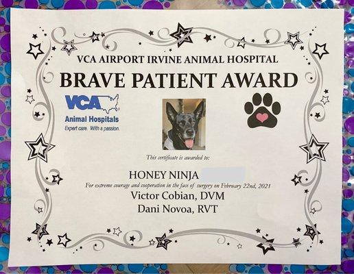 Ninja got an award after her surgery :)