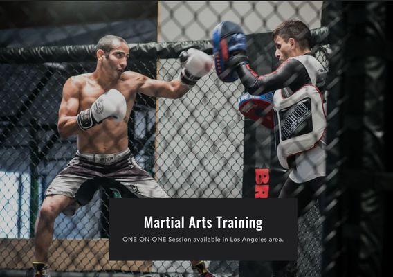 MMA private training