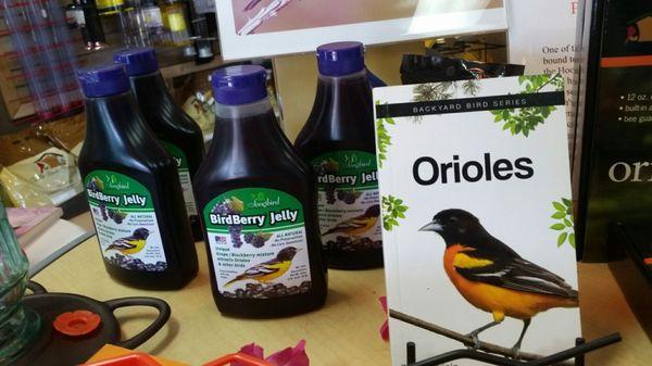 It seems we have a family of orioles that visit our garden daily.  They sell a jelly made of Blueberries, grapes and blackberries they love.