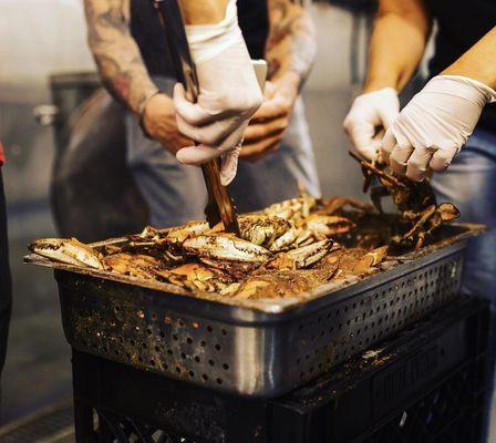 Baltimore's Best Steamed Crabs!