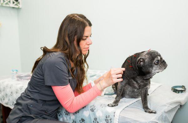 Tanker looking at his mom while his needles are being placed.