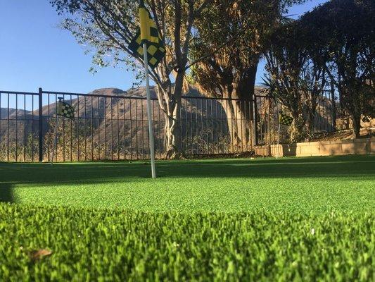 Purchase Green Artificial Grass