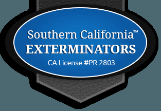 Southern California Exterminators