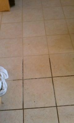 Half finished grout and Tile cleaning